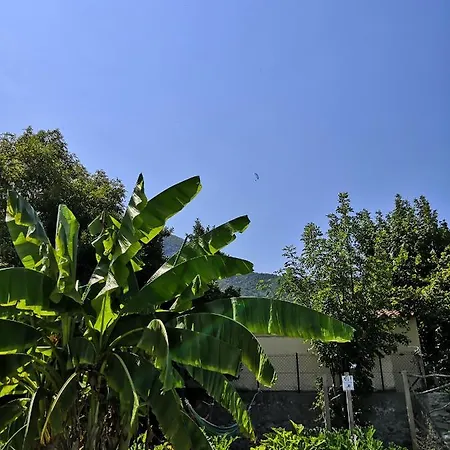 Bed & Breakfast Le Petit Chateau 3*