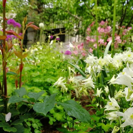 Le Petit Chateau Bed & Breakfast 3*